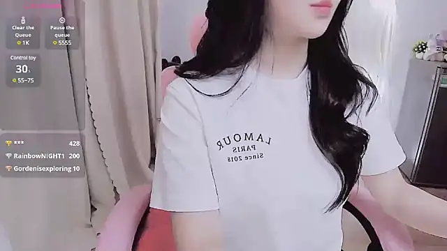 Miu-999 webcam