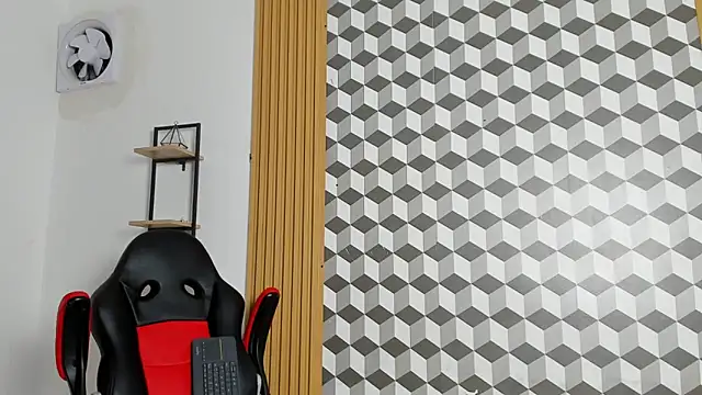 mathias_cocks webcam