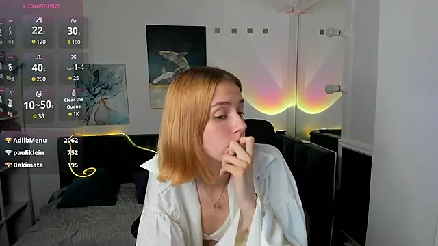 Linapuff webcam