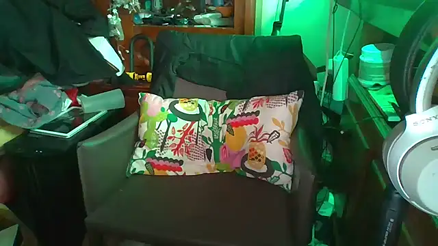 29zipman webcam