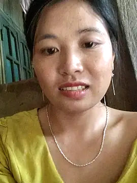 po6m webcam