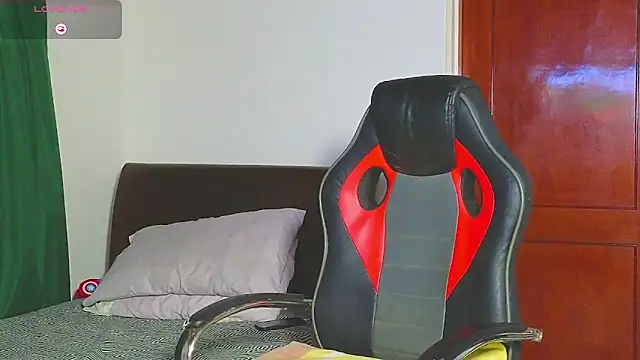 Regansmiths webcam