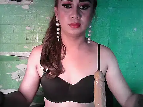 godescock webcam