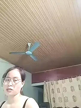 Lee-Nguyen webcam