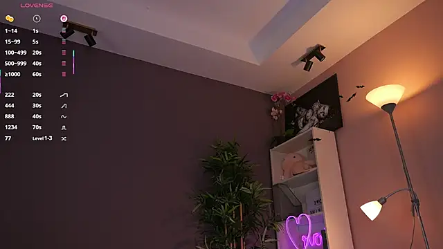 Vesya webcam