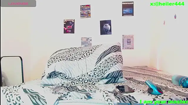 gato444_ webcam