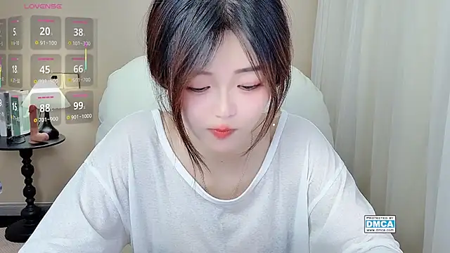 CeeKie webcam