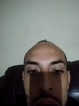 Gato33311 webcam