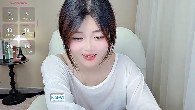 CeeKie webcam