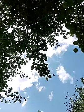 Модель: Notforyougirl