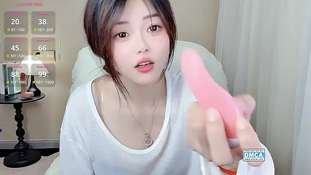 CeeKie webcam