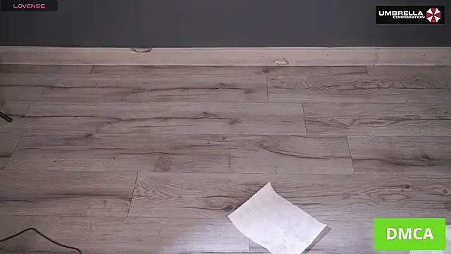 Deeptalkss webcam