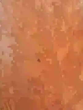 GreekGuyOutdoors webcam