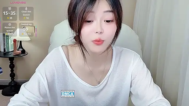 CeeKie webcam