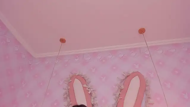 LIA_SWAN_ webcam