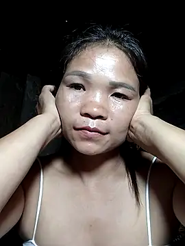 Fafians webcam