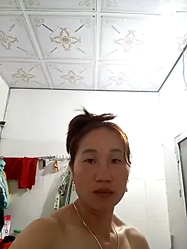 lvtls webcam
