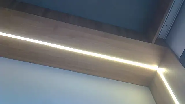 SkinnyKitten webcam