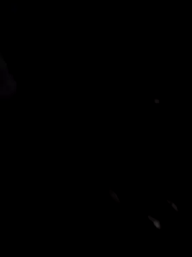 coocon2020 webcam