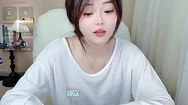 CeeKie webcam