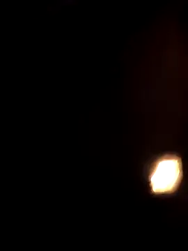 coocon2020 webcam