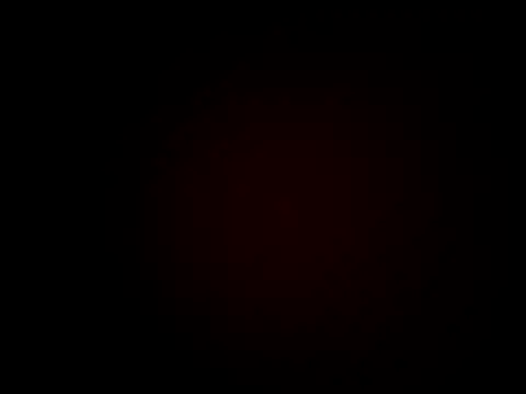 RAYI_Queen_2 webcam