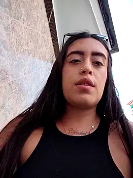 Freyja300 webcam