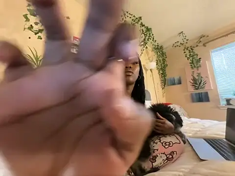 magicalc00ch webcam