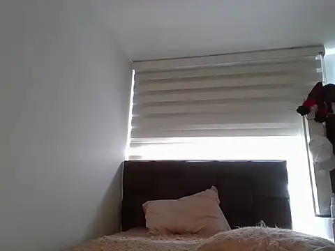 AIDA-SMITH webcam
