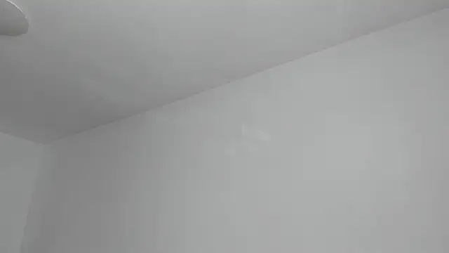 DaisiyWalker webcam