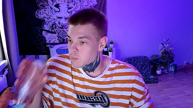 DENIS_HERE webcam