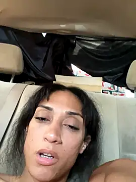 starrynikki