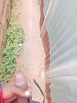 KingBonga