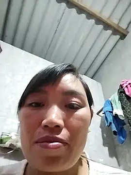 ttd9608 webcam