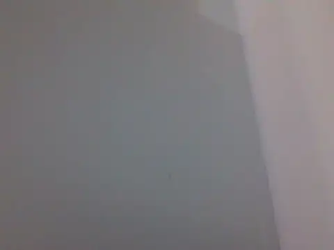 vw124 webcam
