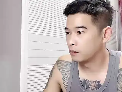 saigege webcam