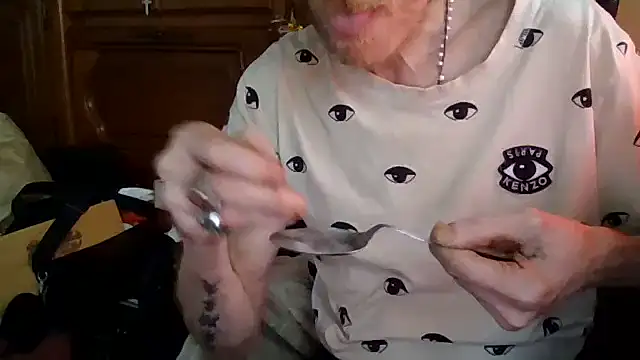 29zipman webcam