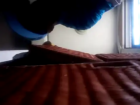 Coldist37 webcam