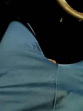 coocon2020 webcam