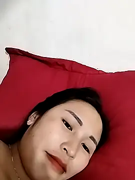 maiphi webcam