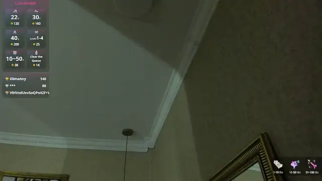Genesisrayden webcam