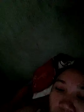 Dina_X2 webcam