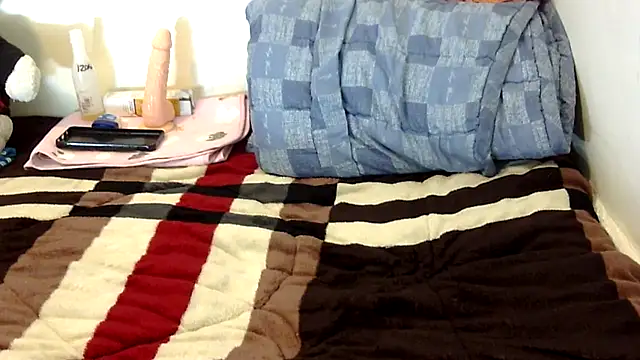 puddddy webcam