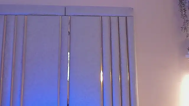 Cloedurant webcam