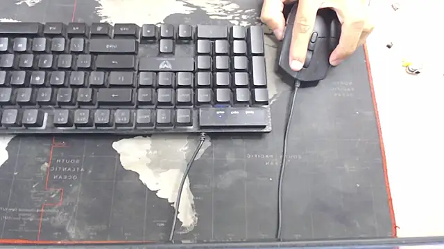 crow_black00 webcam
