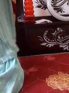 nehathapa webcam