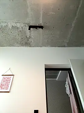 RinaCat