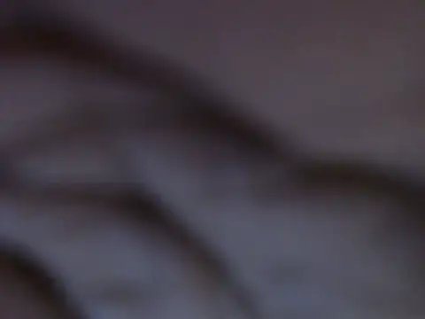 traper_1 webcam