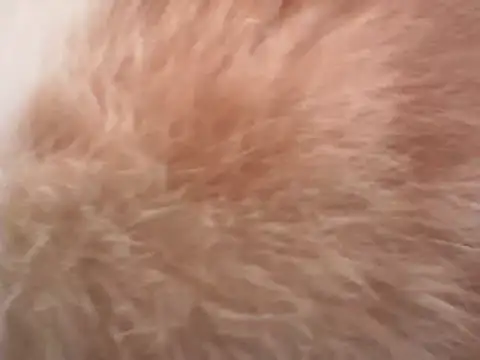 Musical__fantasy webcam