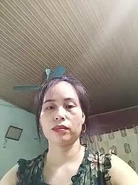 Lee-Nguyen webcam